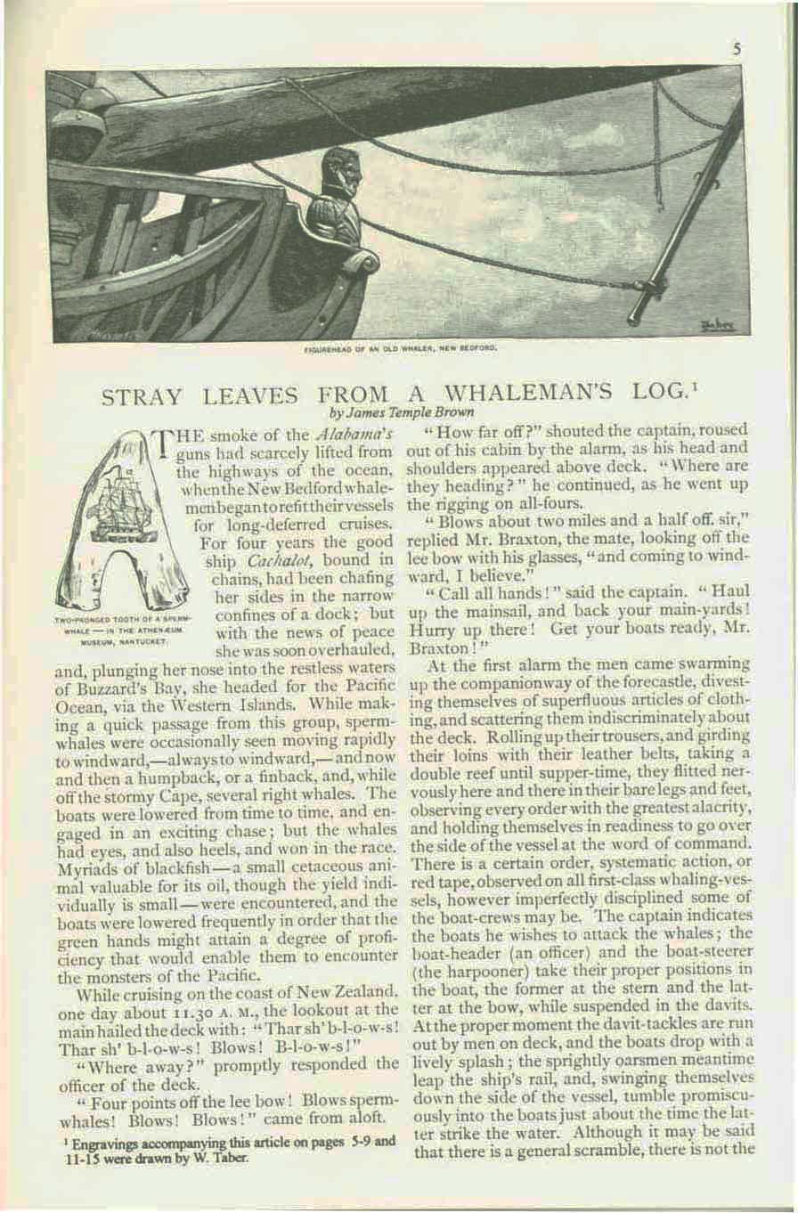 19th Century whaling Tales. vist0089e